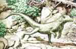 ornithosuchus